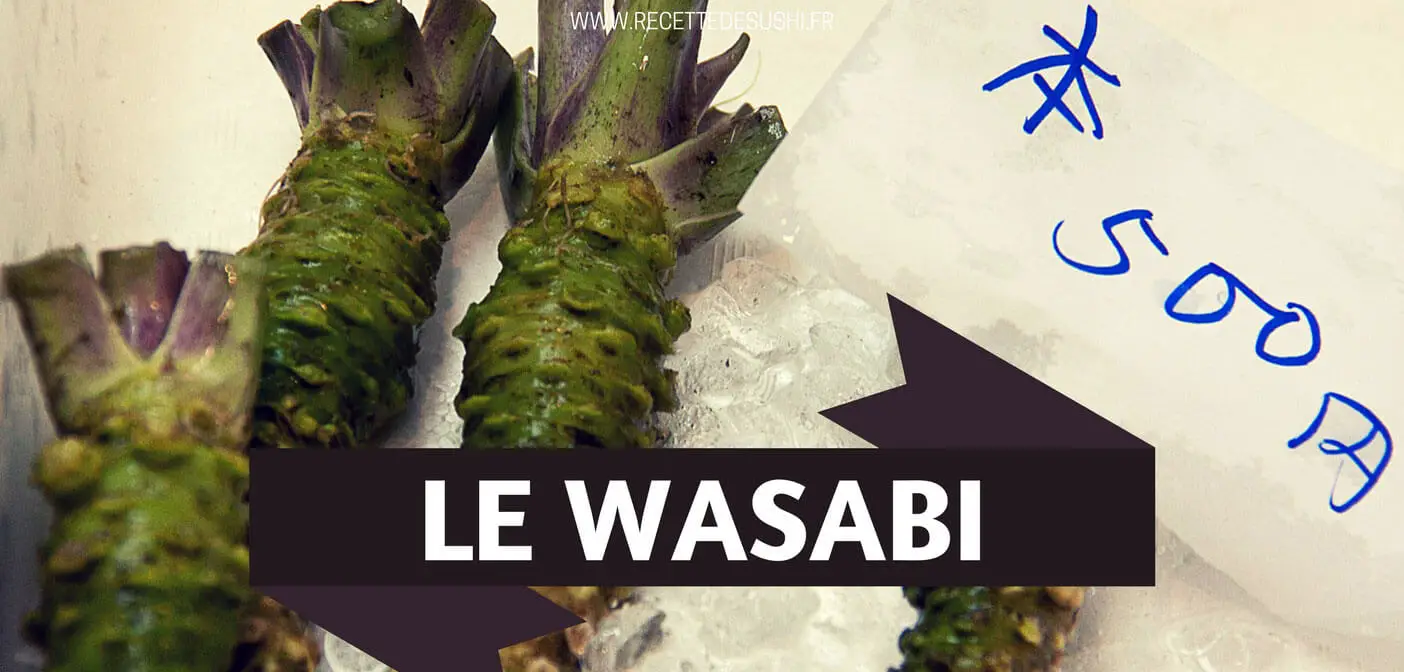 Le très piquant japonais : Wasabi山葵 et Karashi芥子 - JAPON BALADES